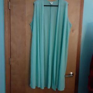 Springtime Lularoe Joy Vest